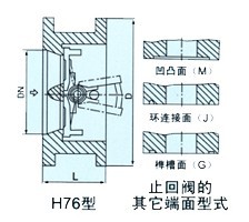 H76H双瓣式止回阀