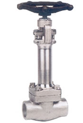 Forged steel cryogenic globe valve 800L